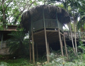 thatch roof